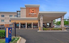 Comfort Inn Downtown Ντητρόιτ Exterior photo