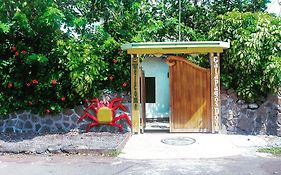 Galapagos Dove Ξενοδοχείο Puerto Ayora  Exterior photo