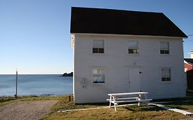 The Old Salt Box Co - Gertie'S Place Βίλα Twillingate Exterior photo