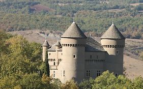 Chateau De Lugagnac Ξενοδοχείο Rivière-sur-Tarn Exterior photo