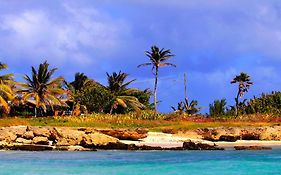 Seascape Beach House Surferspoint Barbados Βίλα Κράιστ Τσερτς Exterior photo