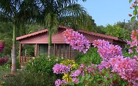 Little Bay Beach House Βίλα Exterior photo