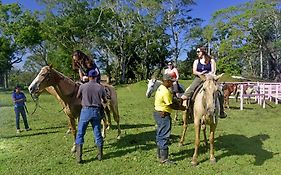 Banana Bank Lodge & Jungle Horseback Adventures Μπελμοπάν Exterior photo