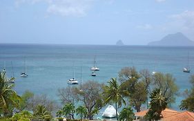 Palm'Studio Anse De Caritan Διαμέρισμα Sainte-Anne Exterior photo