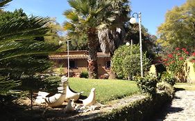 El Refugio De Las Palomas Βίλα Tepoztlan Exterior photo