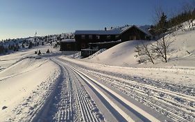 Sulseter Fjellstugu Διαμέρισμα Vinstra Exterior photo