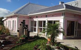 L'Echelle Bed and Breakfast La Plaine des Palmistes Exterior photo