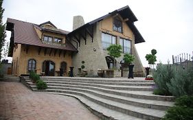 Garni Hotel Chicha - Winery Skrbic Βελιγράδι Exterior photo