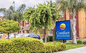 Comfort Inn & Suites Σαλίνας Exterior photo