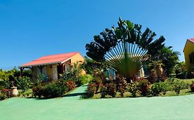 Les Palmes Du Moulin Βίλα Saint-Louis Exterior photo