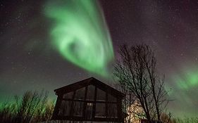 Aurora View Cabin Βίλα Lyngseidet Exterior photo