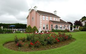 Ballingowan House Bed and Breakfast Newcastle West Exterior photo