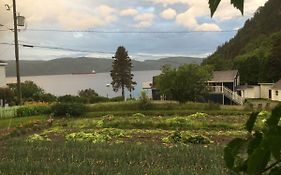 Ferme Jardin Potager Bed and Breakfast Sainte-Rose-du-Nord Exterior photo