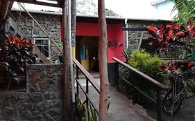 Galapagos Morning Glory Hostel Puerto Ayora  Exterior photo