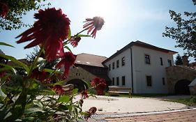 Grossmann Haz Aparthotel Mád Exterior photo