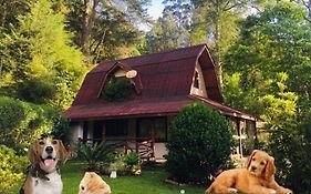 Casa Na Floresta Em Campos Do Jordao Βίλα Exterior photo