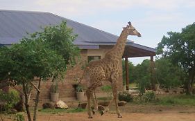 Mkhiweni Villa At Dombeya Wildlife Estate Μπαμπάνε Exterior photo