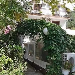 Pansion Mimoza Bed and Breakfast Χέρτσεγκ Νόβι Exterior photo