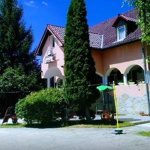 Flamingo Panzio Etterem Bed and Breakfast Somlojeno Exterior photo