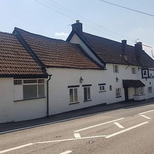 The Dog Inn Μπρίστολ Exterior photo