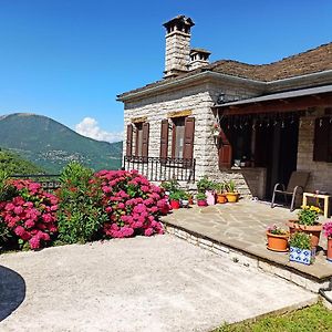 Foris House Ξενοδοχείο Βίκος Exterior photo