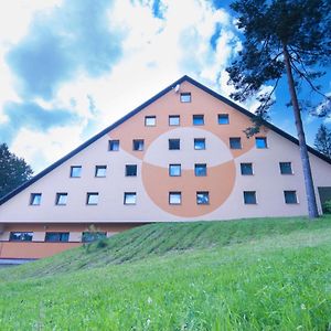 Hotel Svratka Exterior photo