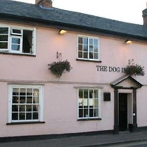 The Dog Inn Halstead  Exterior photo