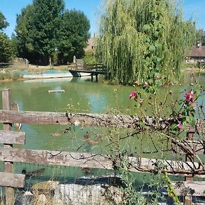 Ferme Bressane Les Arums Bed and Breakfast Mervans Exterior photo