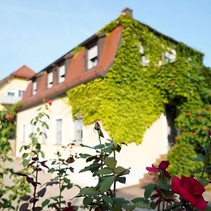 Weingut Martin Blass Ξενοδοχείο Erlabrunn  Exterior photo