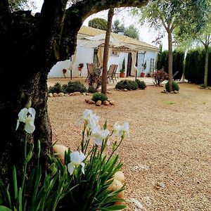 La Casa Del Abuelo Jose ξενώνας Marmolejo Exterior photo