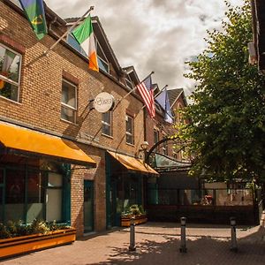 The Old Quarter Townhouse Ξενοδοχείο Limerick Junction Exterior photo