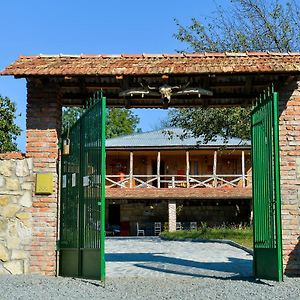 Agro Guesthouse Korena Κουτάισι Exterior photo