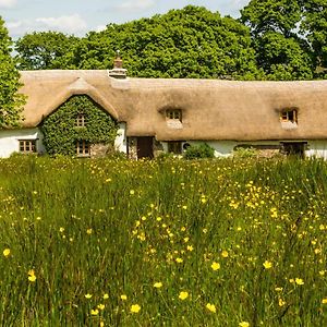 Hay Meadow Farm Bed and Breakfast Beaworthy Exterior photo