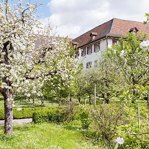 Kloster Dornach / Basel Ξενοδοχείο Exterior photo