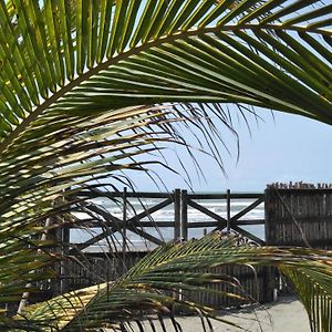 Zefiro Hostal Ξενοδοχείο San Bernardo del Viento Exterior photo