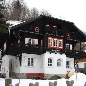 Spacious Villa In Zell Am See Near Ski Area Exterior photo