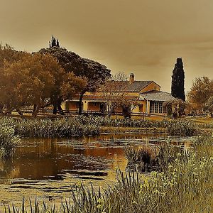 Mas Fandelou Bed and Breakfast Σαιντ-Μαρί-ντε-λα-Μερ Exterior photo