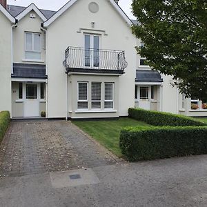 Wolseley Park Guest House Tullow Exterior photo