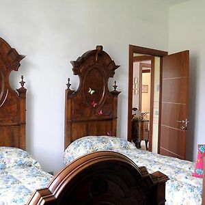 Il Coniglio Sulla Luna Bed and Breakfast Έρμπα Exterior photo