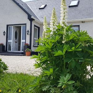 An Charraig Ban On The Wild Atlantic Way F94Wt02 Bed and Breakfast Ardara Exterior photo