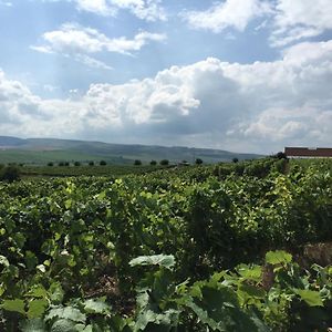 Wineyards Salin Bed and Breakfast Τούρντα Exterior photo