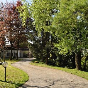 Sasso Di Luna Bed and Breakfast Scanzorosciate Exterior photo