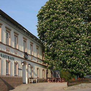 Gasthof Hehenberger Ξενοδοχείο Wallsee Exterior photo