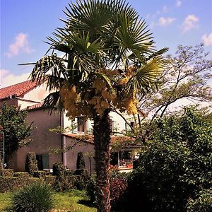 La Ferme Jarlan Bed and Breakfast Berganty Exterior photo