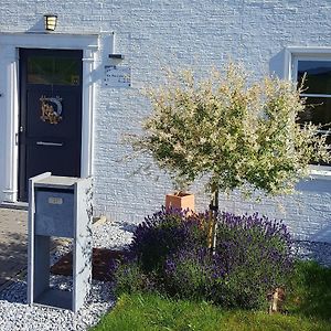 Au Fond Des Rys Bed and Breakfast Grez-Doiceau Exterior photo