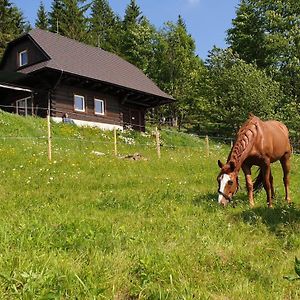 Panorama Ranc Βίλα Jezici Exterior photo