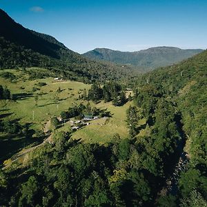 Wongari Eco Retreat Βίλα Lamington Exterior photo