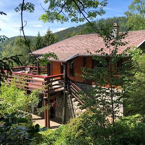 Chalet Braunkopf Alsace Βίλα Muhlbach-sur-Munster Exterior photo