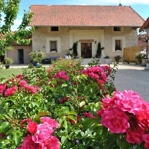 La Besace Bed and Breakfast Sainte-Croix  Exterior photo