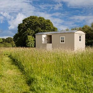 Romantic Secluded Shepherd Hut Hares Rest Βίλα Southwick  Exterior photo